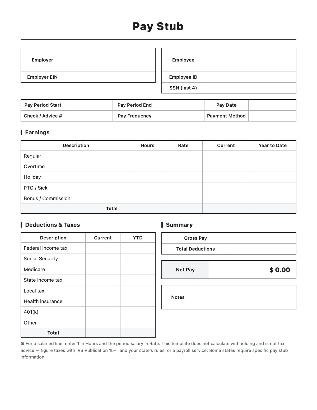 Pay Stub template preview