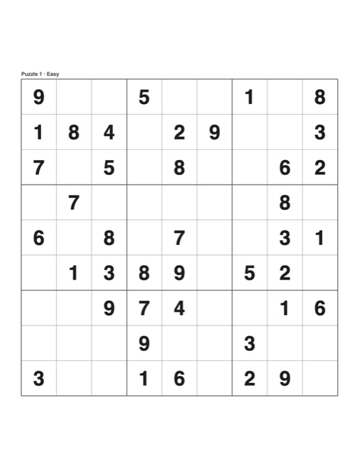 Large Print Sudoku template preview